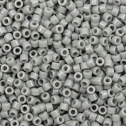 Miyuki Perlen delica's 11/0 Opaque grey