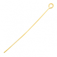Stainless Steel - Rostfreiem Stahl Schmuckzubeh&ouml;r Kettelstifte 50mm Gold