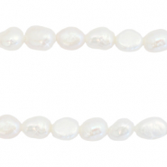 BQ Süsswasserperlen Nugget oval 8x5-6mm Natural white