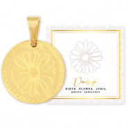 Mix & Match Anh&auml;nger aus Stainless Steel - Rostfreiem Stahl 15mm Birth flower April-Daisy Gold
