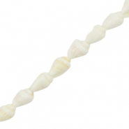 Muschel Perlen Wellhornschnecke White (Naturliche Farbe Muschel)