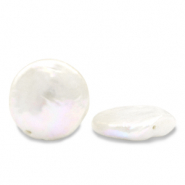 BQ Süsswasserperlen Coin Natural white