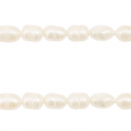 BQ S&uuml;sswasserperlen Rice 8x6mm Natural white