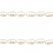 BQ Süsswasserperlen Rice 7x5mm Natural white