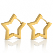 Ohrringe aus Stainless Steel - Rostfreiem Stahl Stern Gold