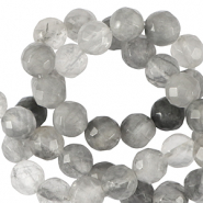 Naturstein Perlen 4mm Facett geschliffen Iced grey