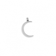 Stainless Steel - Rostfrei Stahl Anhänger La Luna Mond Silver