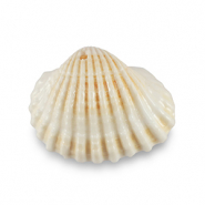 Muschel Anhänger Specials Jakobsmuschel Creamy white