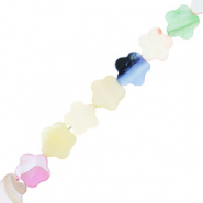 Muschel Perlen Blume Multicolour pastel