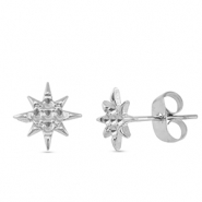 Ohrringe / Ohrstecker aus Stainless Steel - Rostfreiem Stahl Stern Silver