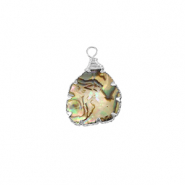 Resin Anh&auml;nger mit Imitation Muschel Irregular Silver-ocean green