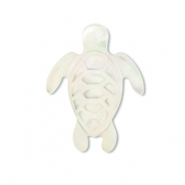 Muschel-Perlen Schildkröte White (Naturliche Farbe Muschel)