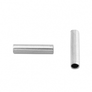Stainless Steel - Rostfrei Stahl Perlen Tube 8mm Silver