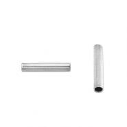 Stainless Steel - Rostfrei Stahl Perlen Tube 5mm Silver