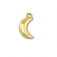 Stainless Steel - Rostfrei Stahl Anh&auml;nger Mond Gold