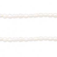 BQ Süsswasserperlen Rice 6x4mm Natural white