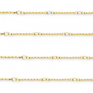 Stainless Steel - Rostfrei Stahl Schmuckzubeh&ouml;r Gliederkette L&auml;nglich Gold