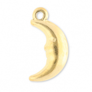 Stainless Steel - Rostfrei Stahl Anhänger Mond Gold