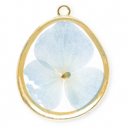 Anh&auml;nger mit getrockneter Blume Eierf&ouml;rmig Gold-light blue