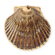 Muschel Anh&auml;nger Specials Jakobsmuschel Dark brown-gold