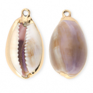 Muschel Anhänger Specials Kauri Purple-brown-gold