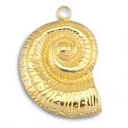 Stainless Steel - Rostfrei Stahl Anhänger Muschel Gold