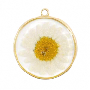 Perlen / Anhänger Anhänger und Zwischenstücke mit getrockneter Blume