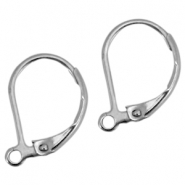 Ohrringe aus Stainless Steel - Rostfrei Stahl Ohrh&auml;nger verschliessbar Silber