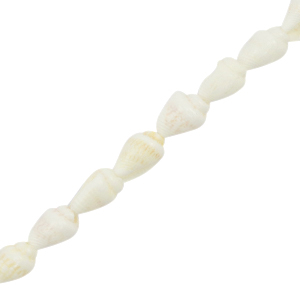 Muschel Perlen Wellhornschnecke White (Naturliche Farbe Muschel)