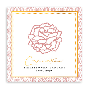 Schmuck Karten Geburtsblume Januar-Nelke Red