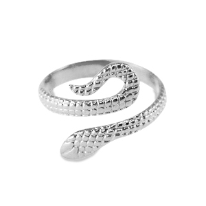 Ringe aus Stainless Steel - Rostfreiem Stahl Silber