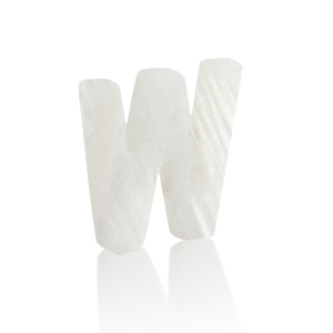Muschel Anh&auml;nger S&uuml;&szlig;wasserperlmutt Buchstaben W White (Naturliche Farbe Muschel)
