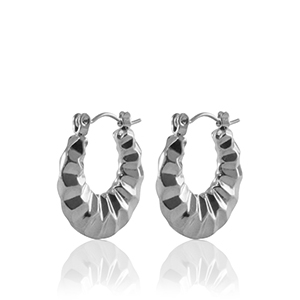 Ohrringe aus Stainless Steel - Rostfreiem Stahl Creolen 20mm Silver
