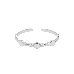 Ringe aus Stainless Steel - Rostfreiem Stahl Silber