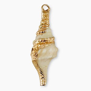 Muschel Anh&auml;nger Specials Wellhornschnecke Beige-gold