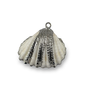Muschel Anh&auml;nger Specials Jakobsmuschel White-silver