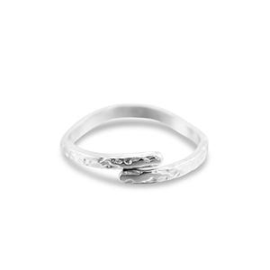 Ringe aus Stainless Steel - Rostfreiem Stahl Welle Silver