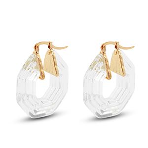 Trendy Resin Ohrringe Hexagon Gold-transparent