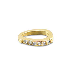 Brass TQ Metall Anh&auml;nger Oval Gold