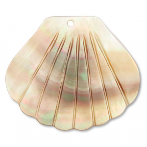 Muschel Anh&auml;nger Jakobsmuschel White (Naturliche Farbe Muschel)-brown