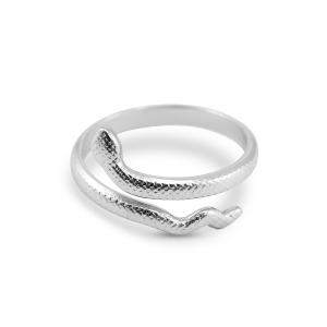 Ringe aus Stainless Steel - Rostfreiem Stahl Schlange Silver