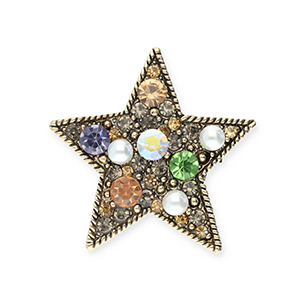 Broschen Stern Gold-black-multicolour