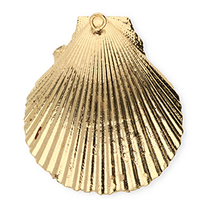 Muschel Anh&auml;nger Specials Jakobsmuschel Gold