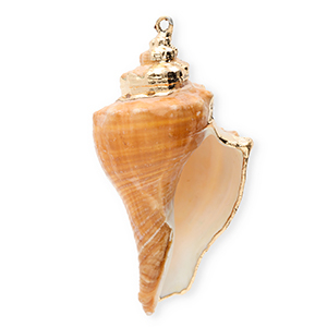 Muschel Anh&auml;nger Specials Wellhornschnecke Copper brown-gold