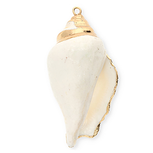 Muschel Anh&auml;nger Specials Wellhornschnecke White-gold