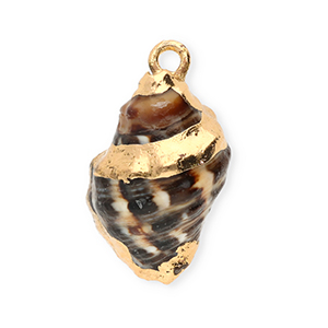 Muschel Anh&auml;nger Specials Wellhornschnecke Brown-gold
