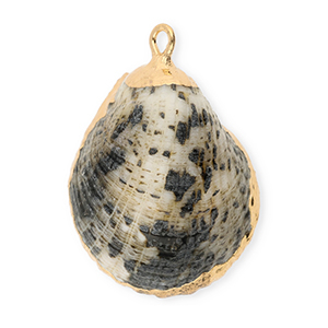 Muschel Anh&auml;nger Specials Grey-gold