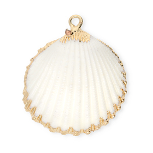 Muschel Anh&auml;nger Specials Herzmuschel White-gold