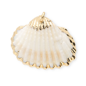 Muschel Anh&auml;nger Specials Jakobsmuschel White-gold