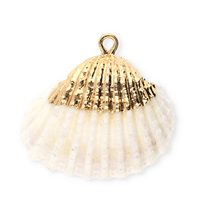 Muschel Anh&auml;nger Specials Herzmuschel Creamy white-gold